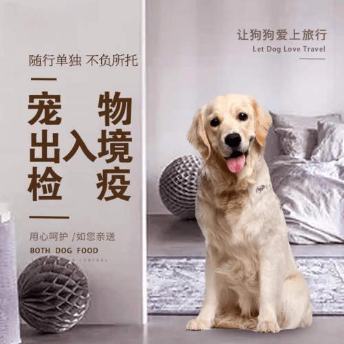南开区宠物托运到哥伦比亚猫狗宠物入境规定和