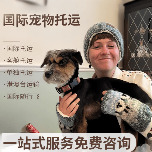 南开区国际宠物托运到阿根廷宠物入境规定和要