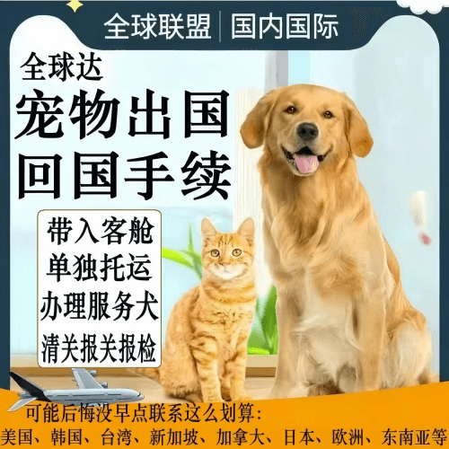 南开区宠物托运到柬埔寨宠物入境规定和要求